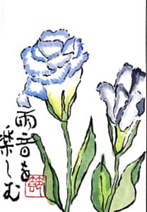 雨音を楽しむ　〜トルコキキョウの花〜