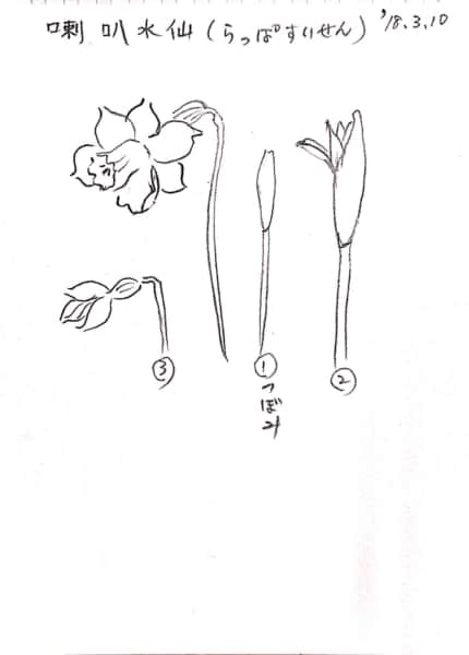 冬 ページ 15 75 絵手紙 交流ひろば てがみ倶楽部絵手紙 交流ひろば てがみ倶楽部