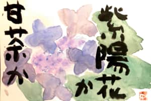 甘茶か紫陽花か