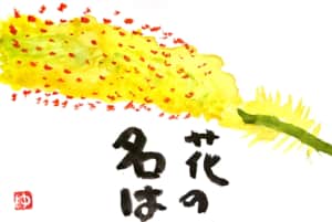 花の名は