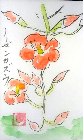 赤いノウゼンカズラの花