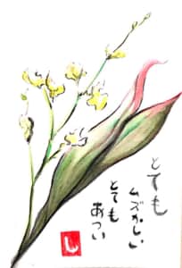 とてもむずかしい、とてもあつい。花の暑中見舞い
