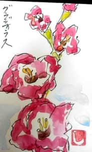 七夕のグラジオラスの花