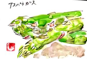 アスパラガス