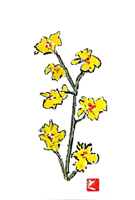 黄色い夏の花