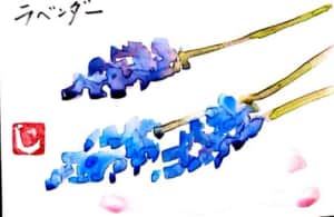 ラベンダーの花