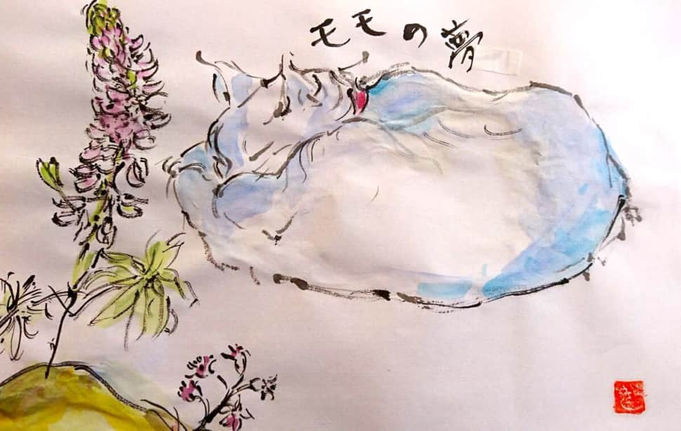モモの夢　〜眠る猫〜