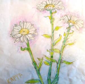 白いマーガレットの花