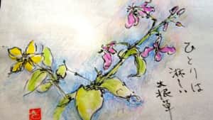 ひとりは淋しい大根草