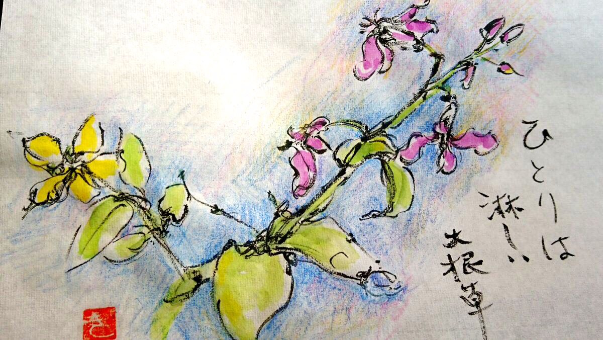 ひとりは淋しい大根草