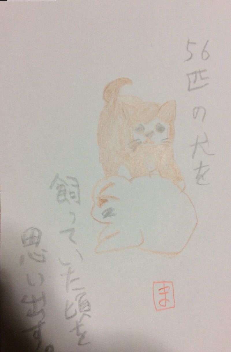 子犬たち