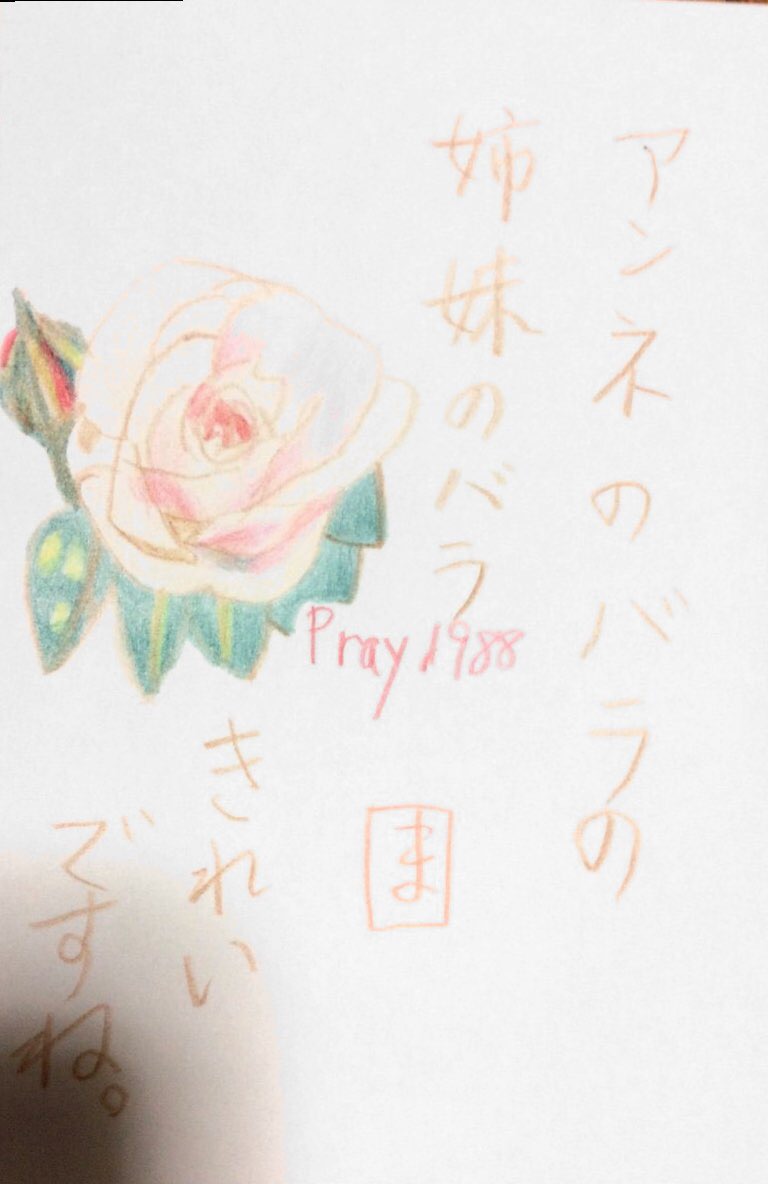 アンネのバラの姉妹のバラ　きれいですね