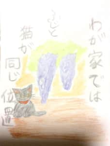 わが家では藤と猫が同じ位置