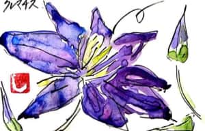 クレマチスの花