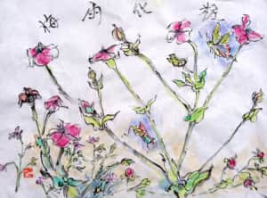 梅雨化粧　〜フランネルソウの花〜