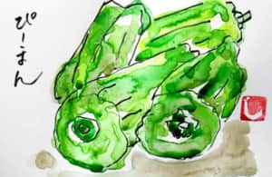 緑鮮やかなピーマン