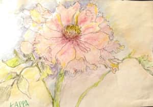 春に咲く桃の花