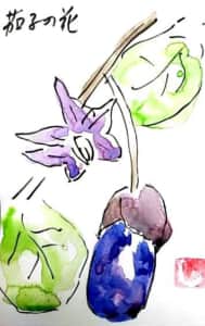 茄子の花