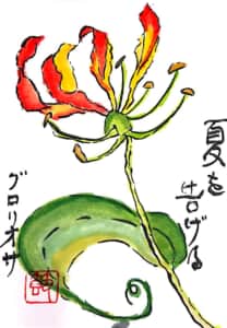 夏を告げるグロリオサの花
