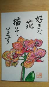 観て！視て！見て