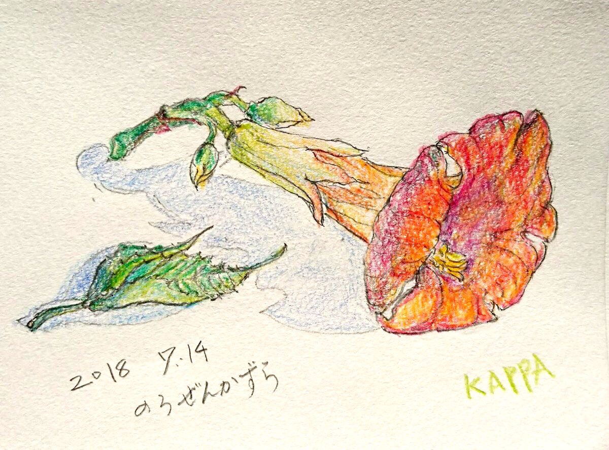 ノウゼンカズラの花