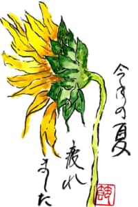 今年の夏 疲れました ヒマワリの花