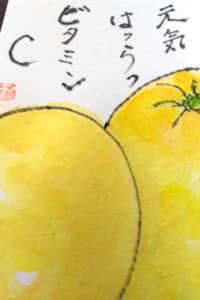 元気はつらつビタミンC 〜グレープフルーツ〜