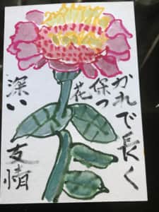 ヒャクニチソウ