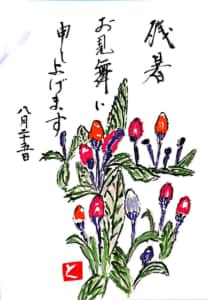 ヒペリカムの実で残暑お見舞い申し上げます