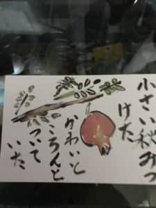 ザクロ