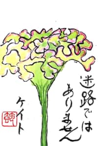 迷路ではありません 〜鶏頭の花〜