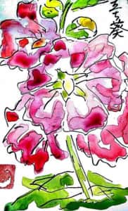 立葵の花