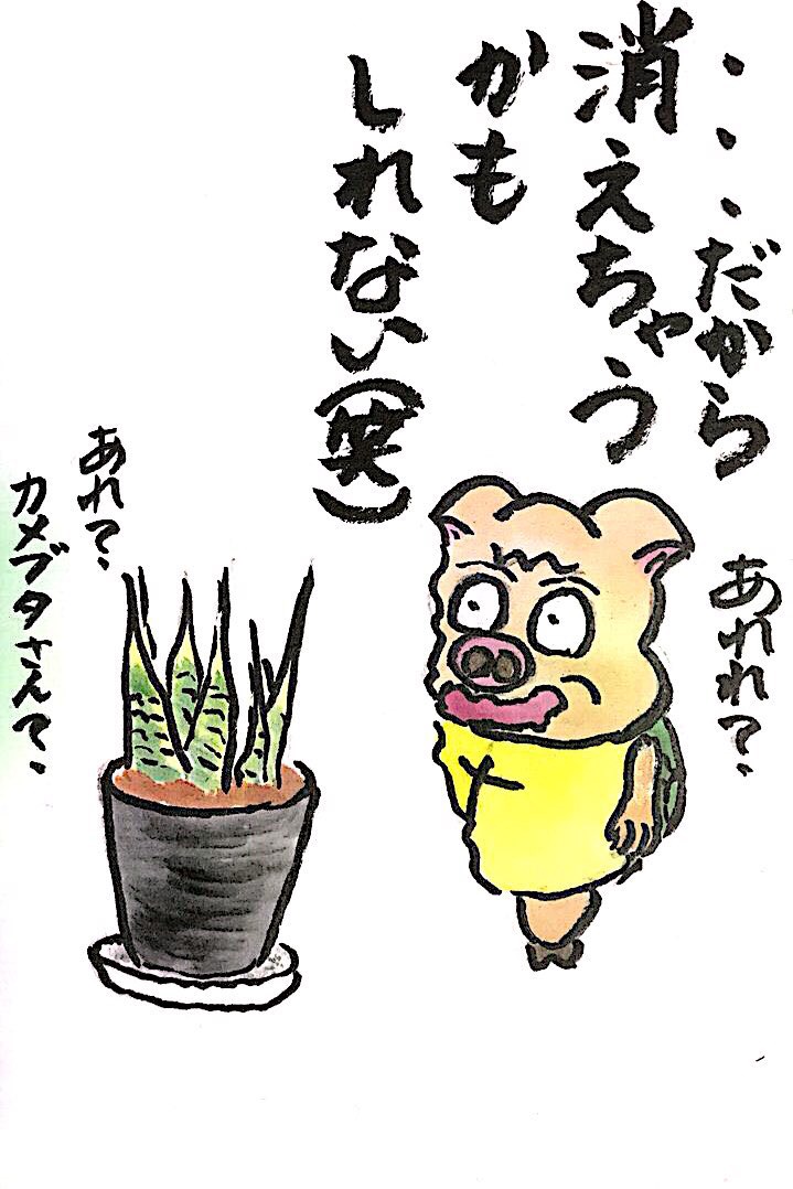…だから消えちゃうかもしれない(笑)