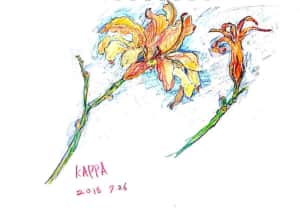 ノカンゾウ(ワスレグサ)の花