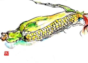 夏といったらトウモロコシでしょう