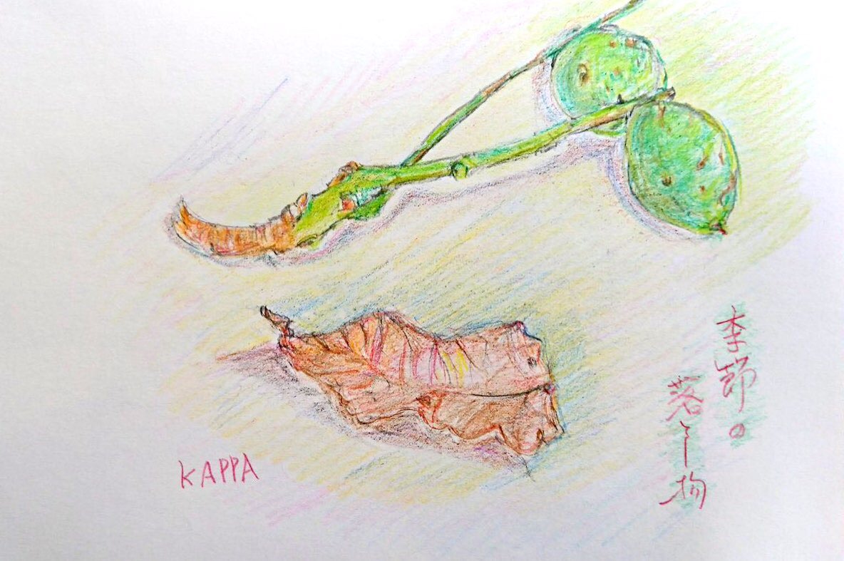 夏の落とし物　〜梅の実と落葉〜