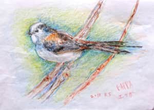 枝にとまったエナガ