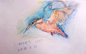 飛び立つカワセミ