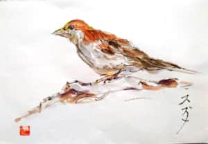 最近見かけなくなった、すずめ