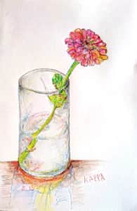 コップに挿した百日草の花