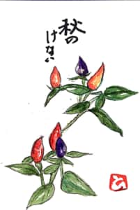 秋の気配　〜とうがらし〜