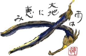 雨は大地に恵み　〜長ナス〜
