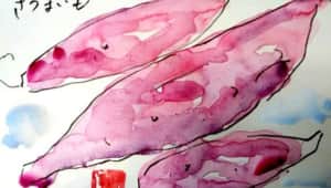 そろそろさつまいもの季節