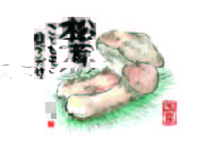 松茸や　ああ松茸や　松茸や　今年もスーパーで国産