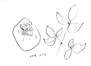 柿の実と秋の枯葉