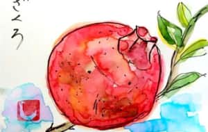 健康や美容にいいザクロ