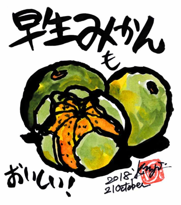 早生みかん おいしい！