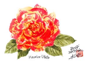 真っ赤なバラの花