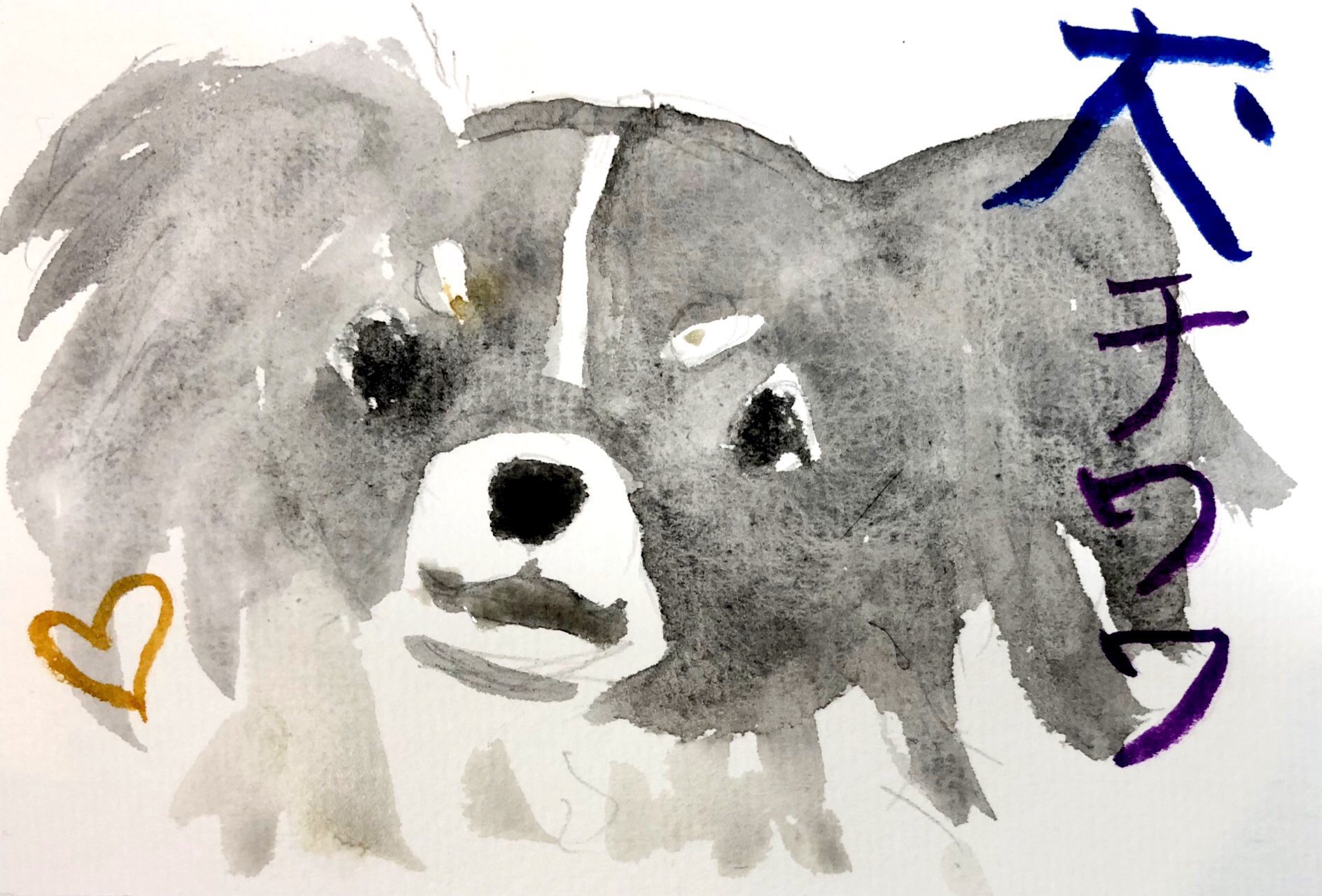 犬 チワワ