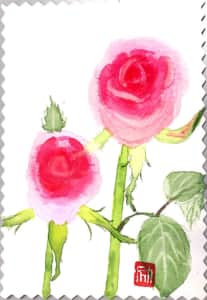 仲良く並んだピンクのバラの花